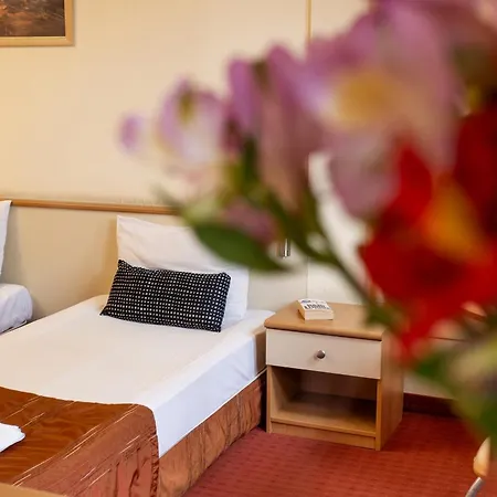 Brod - Free Parking Hotel Sofia