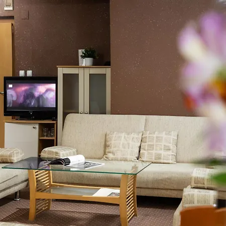 ホテル Brod - Free Parking 3*