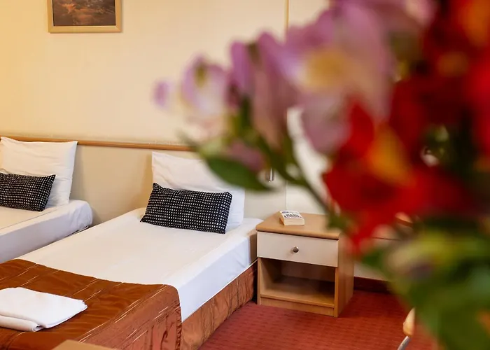 Brod - Free Parking Hotel Sofie